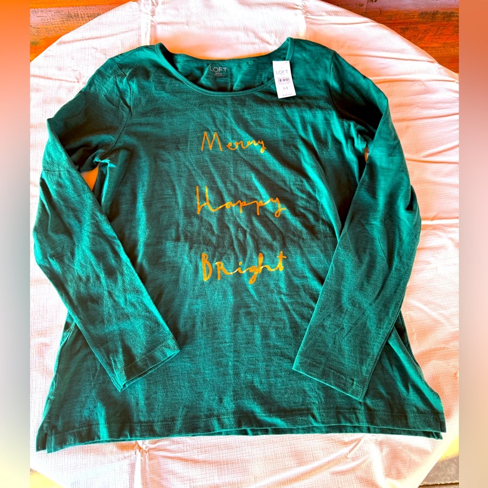 Ann Taylor Loft Holiday long sleeve knit top